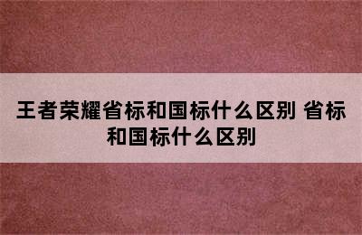 王者荣耀省标和国标什么区别 省标和国标什么区别